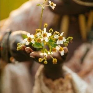 Meet your Posher, Carolyn